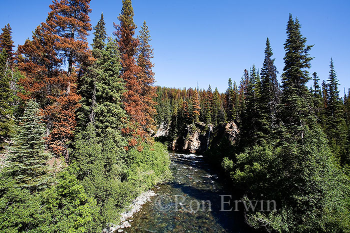 Tweedsmuir Provincial Park