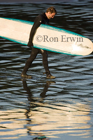 Surfer