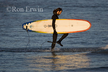 Surfer