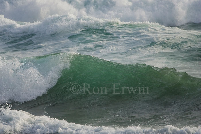 Pacific Waves, BC