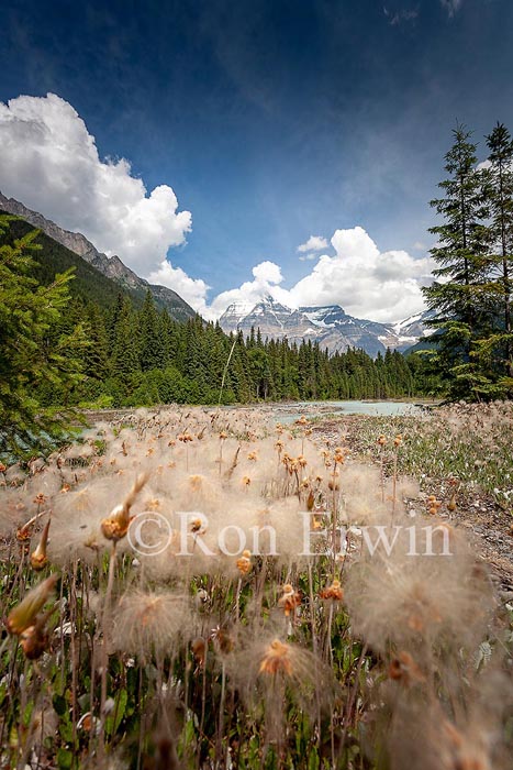 Mount Robson, BC