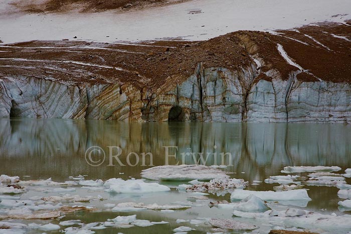 Cavell Glacier, AB