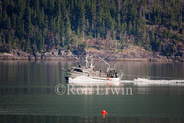 Fishing Boat, BC