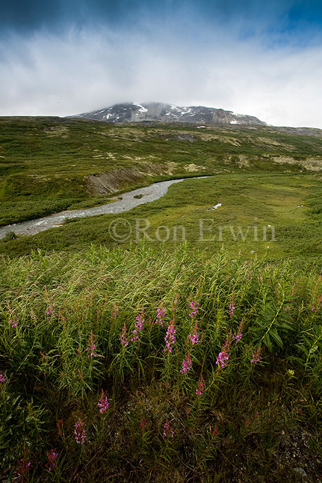 Tatshenshini-Alsek Park