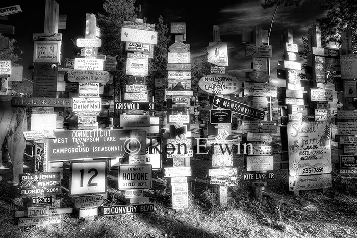 Signpost Forest