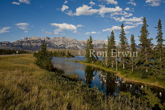 Jasper National Park