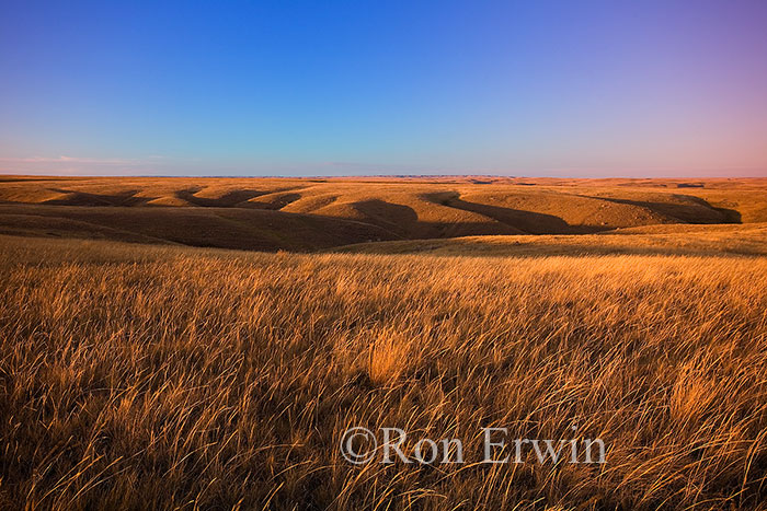 Grasslands National Park
