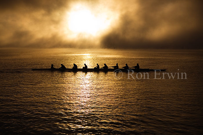 Rowers at Dawn