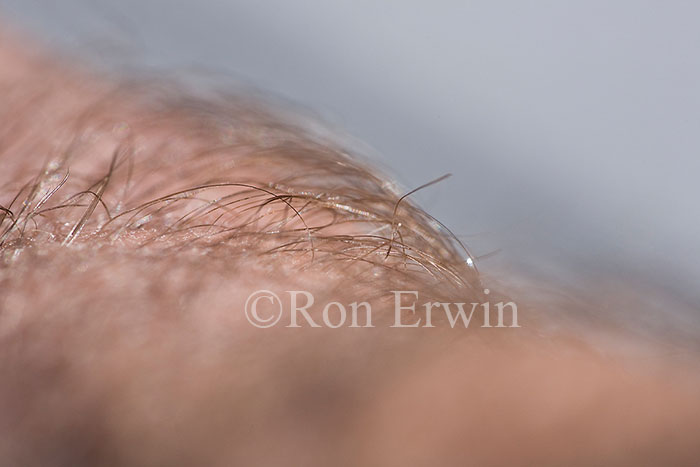 Hairy Hand