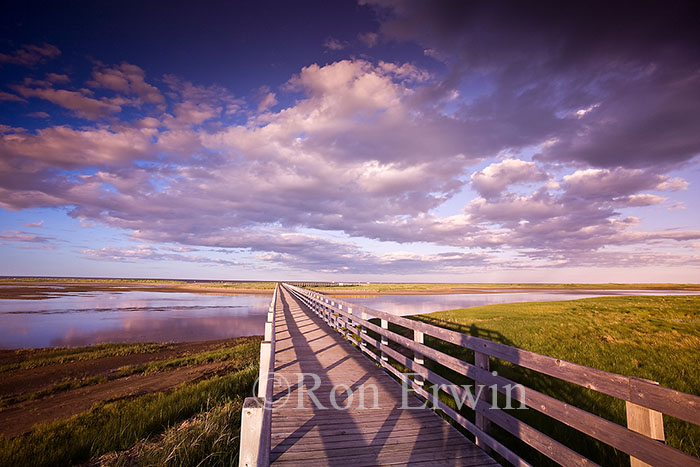 Kouchibouguac National Park, NB