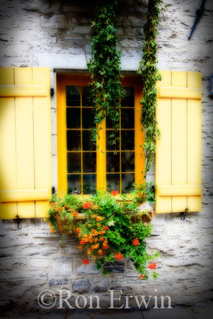 Yellow Shutters (Orton)
