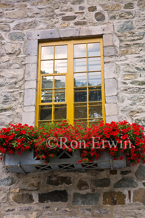 Window Box