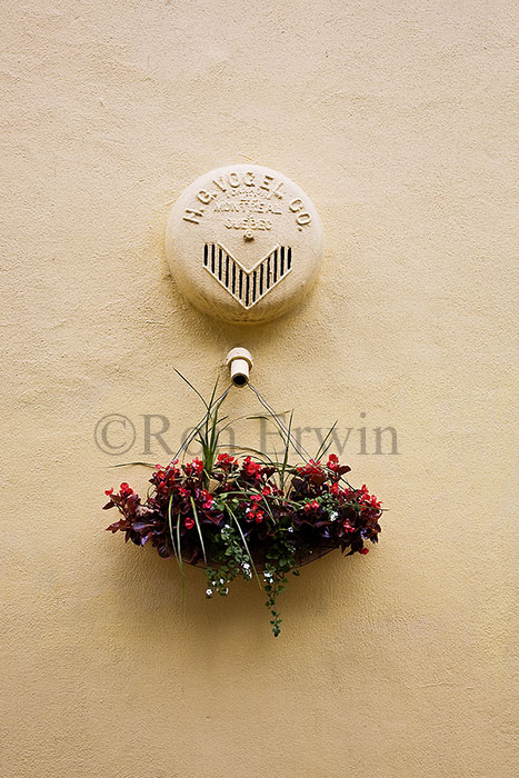 Floral Decoration, Old Quebec