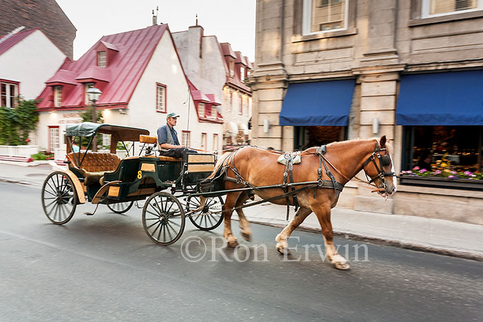 Horse Drawn Carriage, Quebec