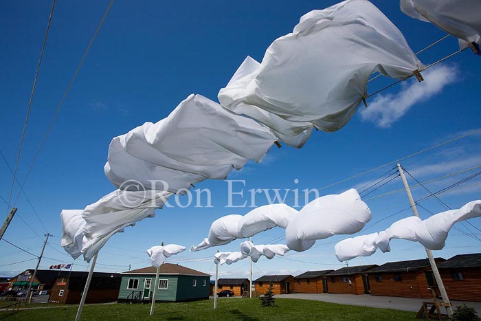 Drying Sheets