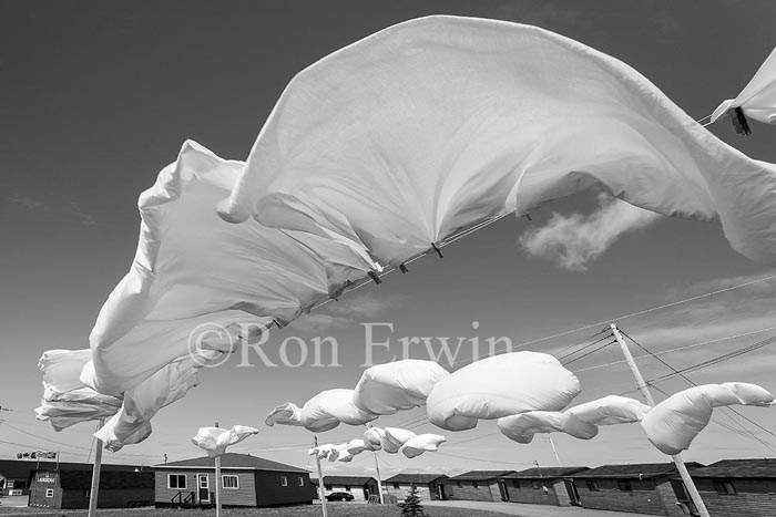 Drying Sheets