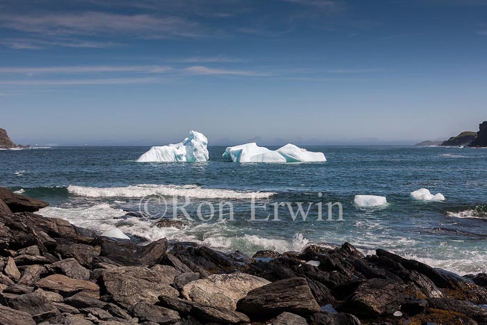 Icebergs, NL