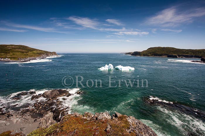 Icebergs, NL