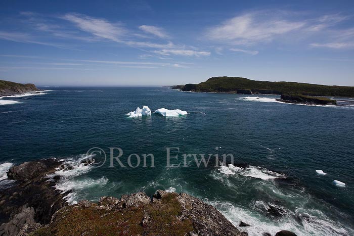 Icebergs, NL