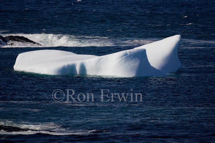 Icebergs, NL