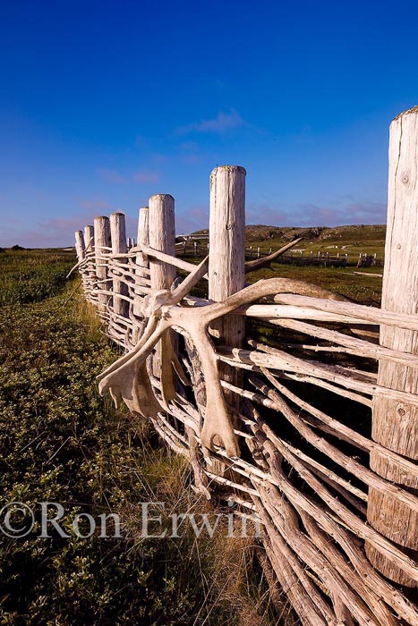 L'Anse aux Meadows, NL