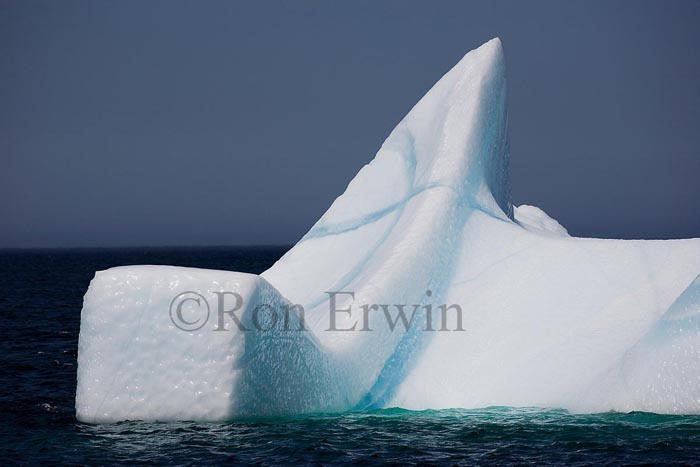 Icebergs, NL