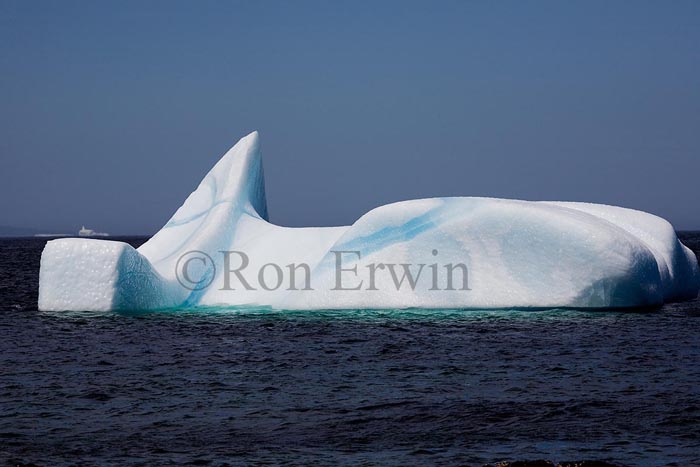 Icebergs, NL