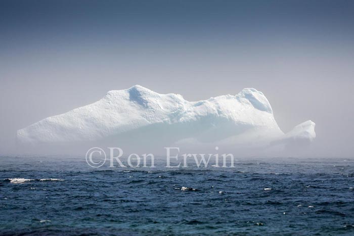 Labrador Iceberg