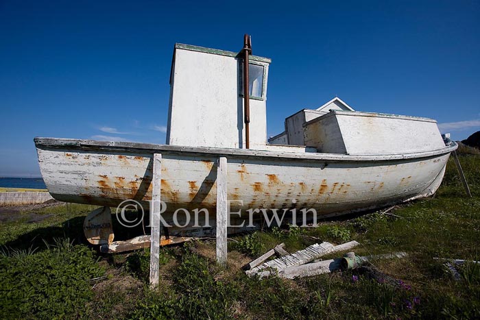Saddle Island, Red Bay, Labrador, NL070715B5326
