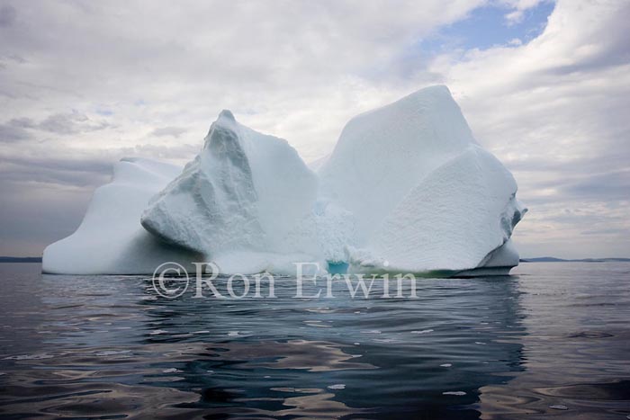 Labrador Iceberg