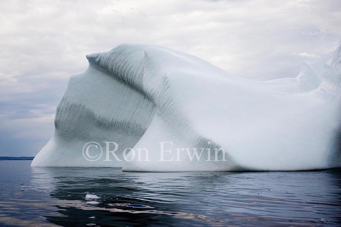 Labrador Iceberg