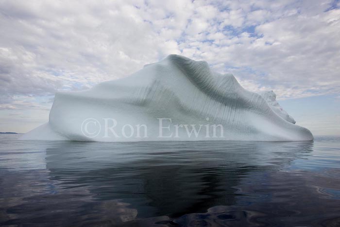 Labrador Iceberg