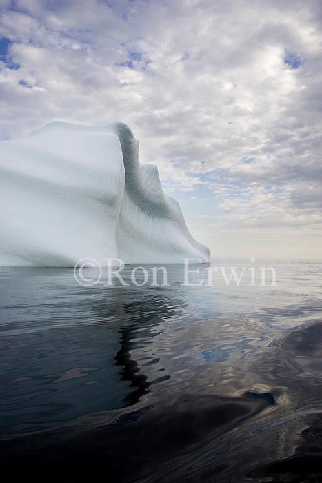 Labrador Iceberg