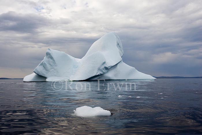 Labrador Iceberg