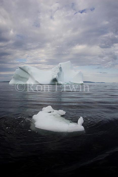 Labrador Iceberg