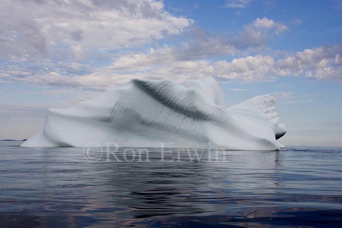 Labrador Iceberg