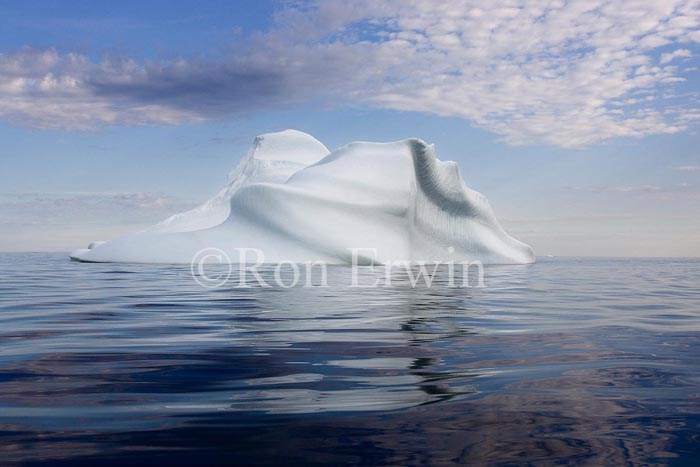 Labrador Iceberg