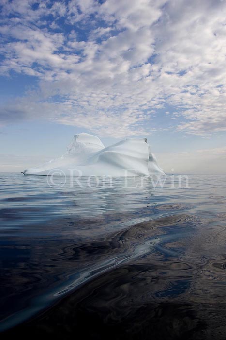 Labrador Iceberg