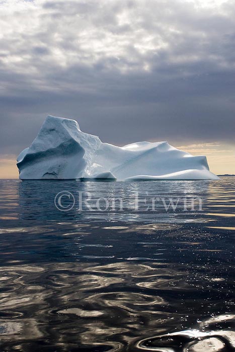Labrador Iceberg