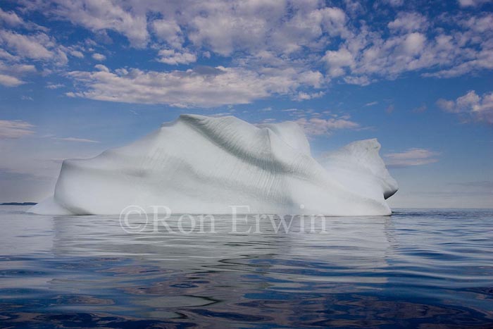 Labrador Iceberg