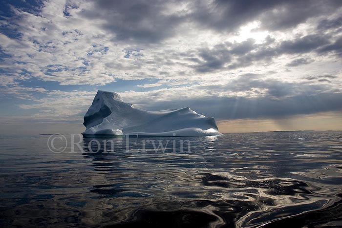 Labrador Iceberg