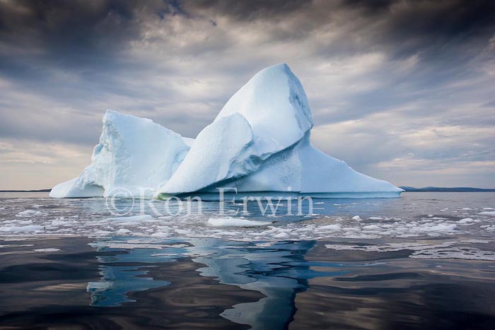 Labrador Iceberg