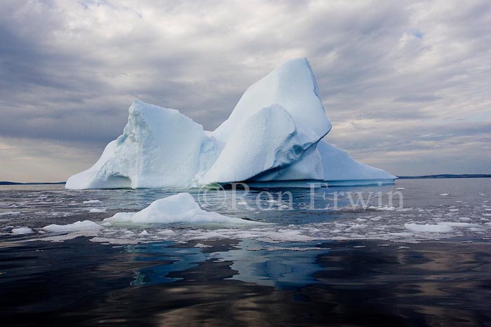 Labrador Iceberg