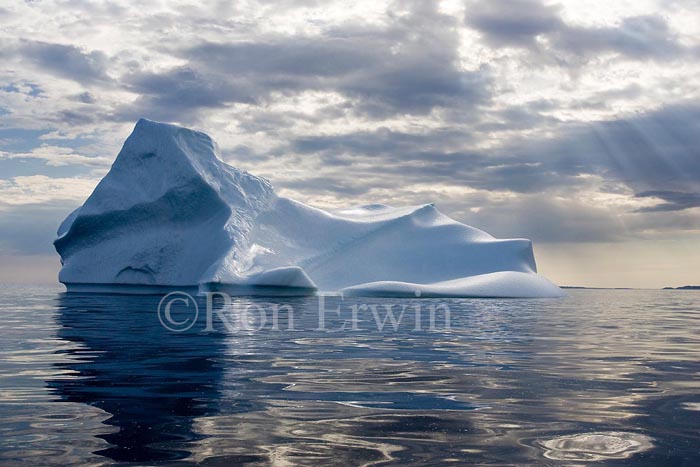 Labrador Iceberg