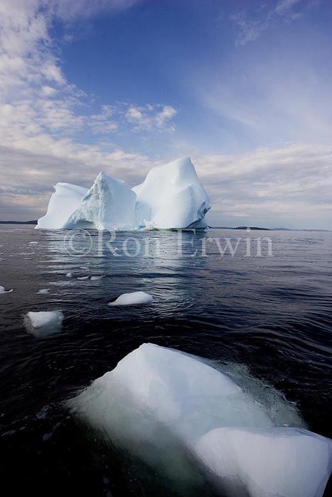 Labrador Iceberg