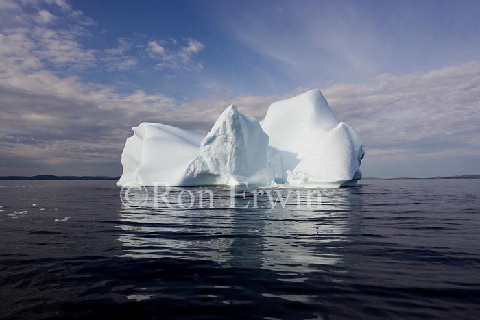 Labrador Iceberg