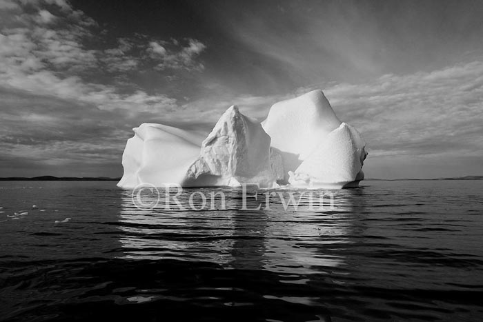 Labrador Iceberg