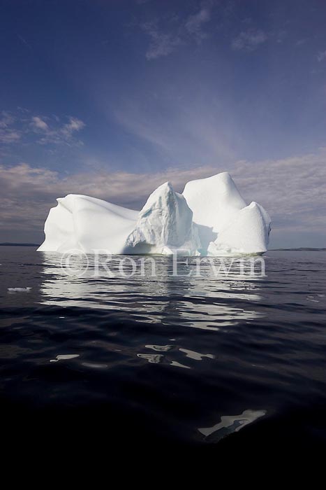 Labrador Iceberg