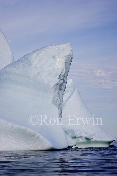 Labrador Iceberg