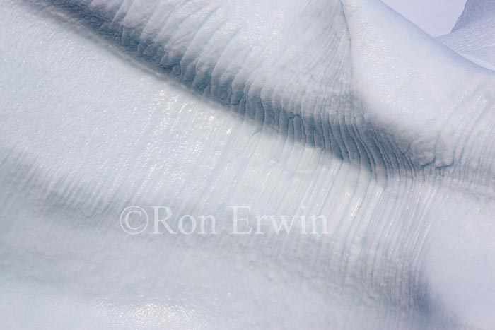 Labrador Iceberg
